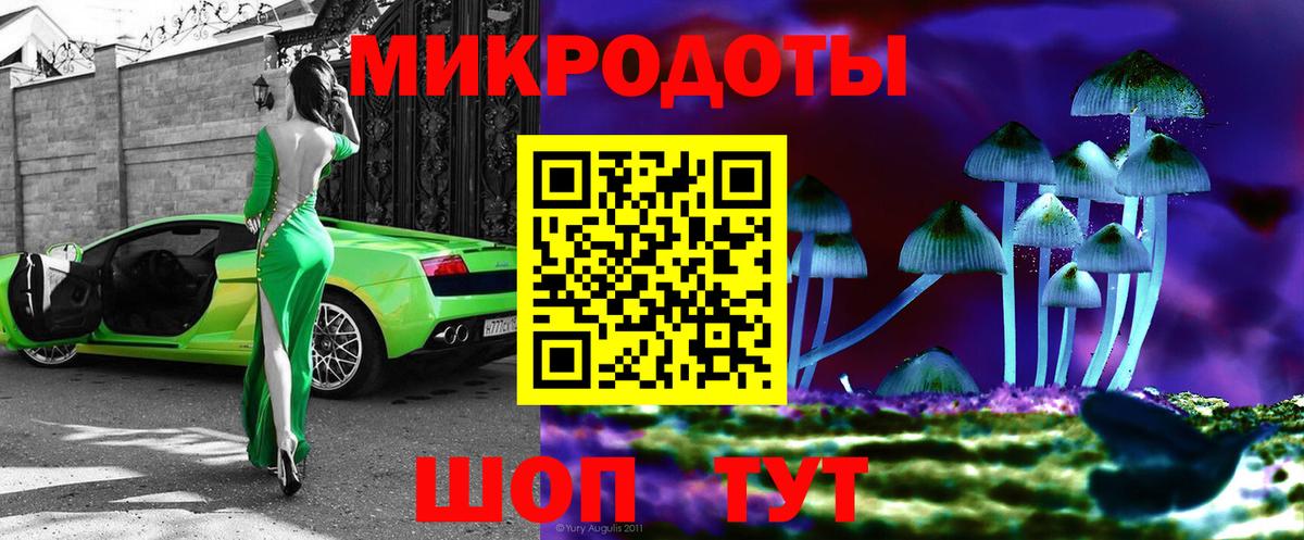Галлюциногенные грибы Psilocybine cubensis Самара