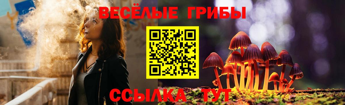 Псилоцибиновые грибы MAGIC MUSHROOMS  Галлюциногенные грибы MAGIC MUSHROOMS  Самара  Вход с VPN 
